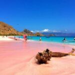 One Day Trip – Snorkeling di Pink Beach Lombok