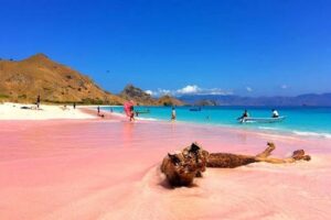 One Day Trip – Snorkeling di Pink Beach Lombok
