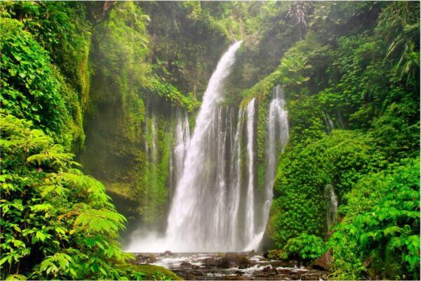 Paket Wisata Pulang-Pergi Kapal Pesiar dari Pelabuhan Gilimas
